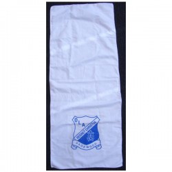 Microfibre Sports Towel with Sublimated Printed